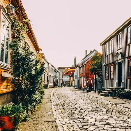 8 Bed Spaces And High Standard With Parking Included Trondheim